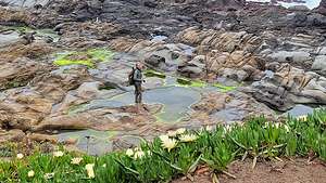 Tide Pools along the Arroyo de los Frijoles Trail